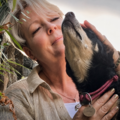 Presence Without Proximity - Animal Reiki - Nationwide