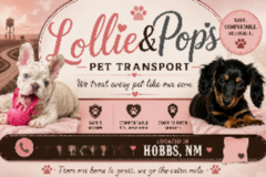 Request Quote: Lollie & Pops Pet Transport | Door-To-Door Pet Transport - Nationwide