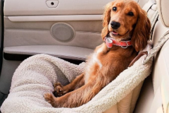 Request Quote: Pet Relocation  - Nationwide