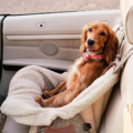 Pet Relocation from TX - Nationwide