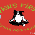 Paws First Positive Dog Training - Mays Landing, NJ