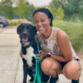 The Amber Current - Animal Communicator & Medium - Nationwide