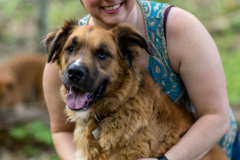 Request Quote: The Southwick Pet Photographer  - Southwick, MA