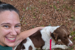 Request Quote: VIP Pet Transport Specialist – 20+ Yrs Professional Driving  - Nationwide