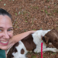 VIP Pet Transport Specialist  - Nationwide
