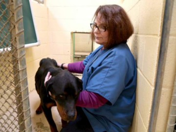 Michelle offering Reiki in the animal shelter.