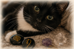 Request Quote: Grounded, Compassionate Reiki & Communication for Pets - Nationwide