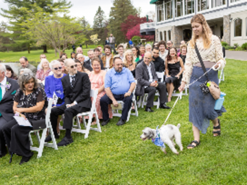Wedding Pet Attendant Service 