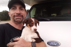 Request Quote: Affordable Pet Transport  - Nationwide