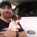 Serendipity Pet Delivery LLC  - Nationwide