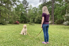 Request Quote: Dogs, Cats, Exotics Care | 20 yr Property Mgr - Gulfport, MS