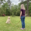 Gulf Coast Pet Care | Dog Walking - Pet Sitting - Gulfport, MS