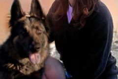 Request Quote: Your Pet's Favorite Road Trip Starts Here - Nationwide
