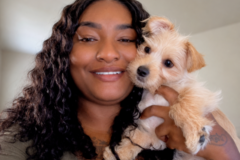 Request Quote: Compassionate Pet Travel Concierge | Flight Nanny - Nationwide