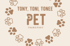 Request Quote: TTT Pet Transport | Flight Nannies - Nationwide