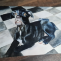 Hand-Painted Custom Pet Portrait – Your Original Artwork  - 35447 Reiskirchen-Hattenrod, Deutschland