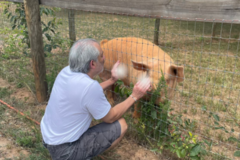 Request Quote: Kind Karma® Wellness  - Animal Reiki  - Nationwide