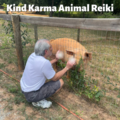 Kind Karma® Wellness  - Animal Reiki  - Nationwide