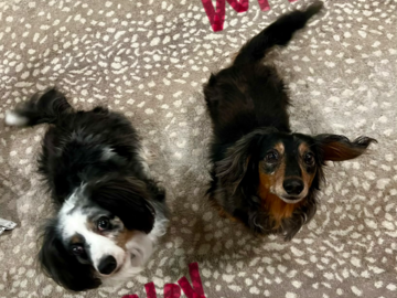 Willie and Paisley