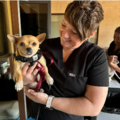 First Class Luxury Pet Travel - Nationwide