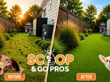 Before and after dog waste cleanup, Colorado yard