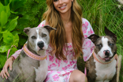 Request Quote: Fear-free, loving, & personalized care - Colorado Springs, CO