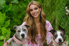 Request Quote: Fear-Free | Loving and Personalized Dog Training - Colorado Springs, CO