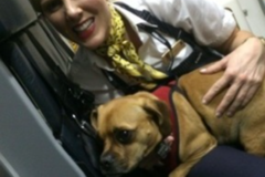 Request Quote: Flight Attendant & Flight Nanny - Nationwide