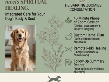barking zoomies consultation
