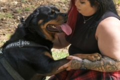 Request Quote: More Than Just A Ride | Pet Transport - Somerville, TN
