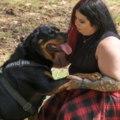 More Than Just A Ride | Pet Transport - Somerville, TN