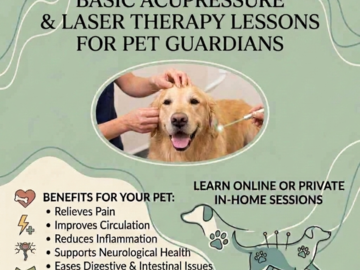 acupressure lessons
