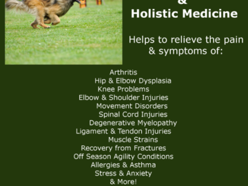 acupuncture treats