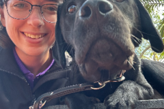 Request Quote: Tampa Bay Flight Nanny | Dedicated In-Cabin Pet Transport - Nationwide