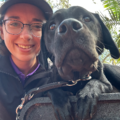 Tampa Bay Flight Nanny | Dedicated In-Cabin Pet Transport - Nationwide