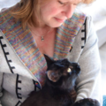 Cat Behavior Consultant  - Austin, CO
