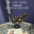 Animal Communicator and Psychic Medium  - Nationwide
