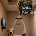 Personalized Dog Boarding & Daycare  - Redding, CA