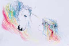 Request Quote: Pet portraits and specialty offerings - Nationwide