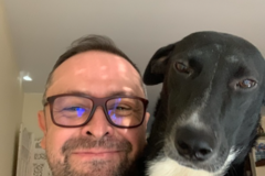 Request Quote: Afternoon and Early Evening Dog Walker - Pleasantville, NY