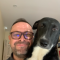 Afternoon and Early Evening Dog Walker - Pleasantville, NY