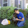 Idaho Poop Scoop | Top Rated Pooper Scoopers - Meridian, ID