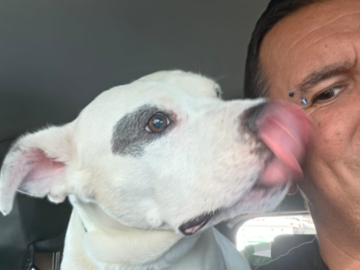Biggie is traveling from Miami to the ranch.