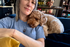 Request Quote: Big Sigh Animal Reiki - Nationwide