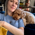 Big Sigh Animal Reiki - Nationwide
