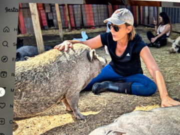 Animal Reiki & Communication