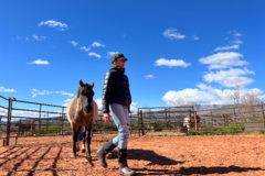 Request Quote: Animal Reiki and Communication - Nationwide