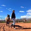 Animal Reiki and Communication - Nationwide