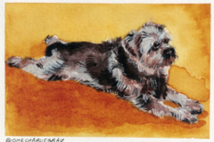 Request Quote: Original Watercolor Pet Portraits - Nationwide