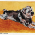 Original Watercolor Pet Portraits - Nationwide